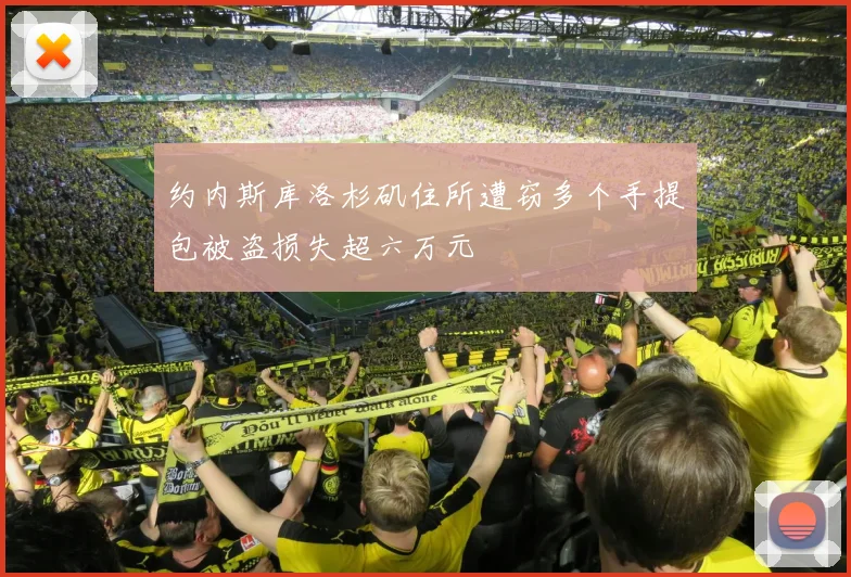 约内斯库洛杉矶住所遭窃多个手提包被盗损失超六万元