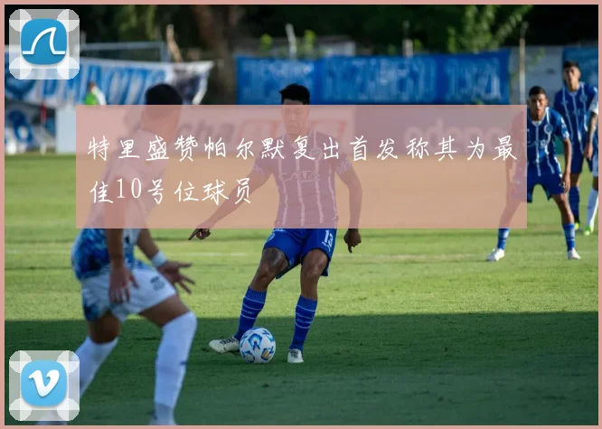 特里盛赞帕尔默复出首发称其为最佳10号位球员