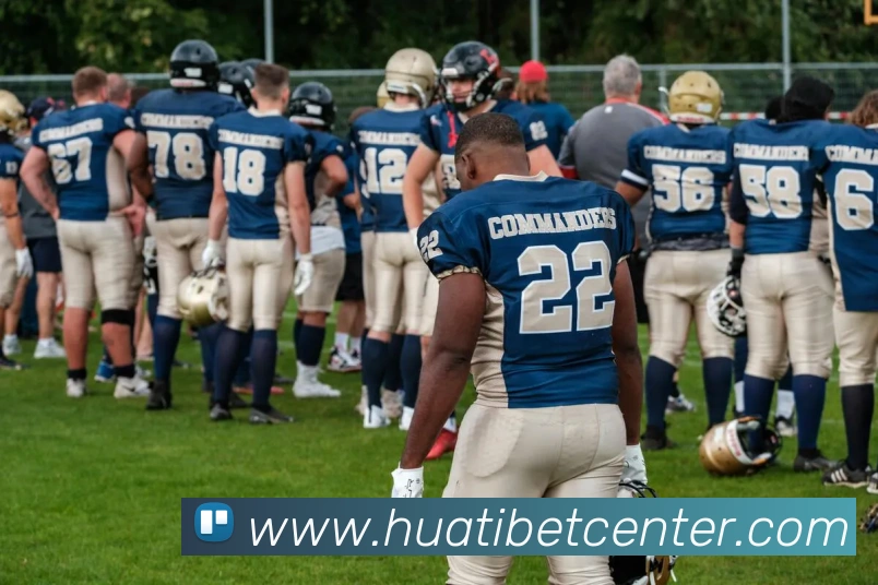 华体会体育APP 封面图